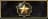 Distinguished Master Guardian