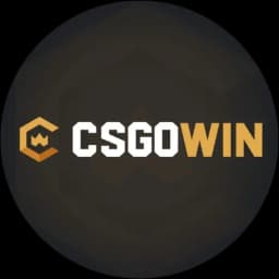 CsgowinLosog