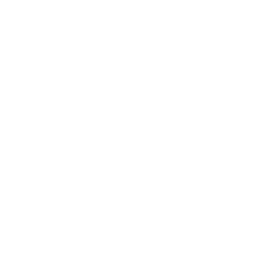 Cs2 Logo